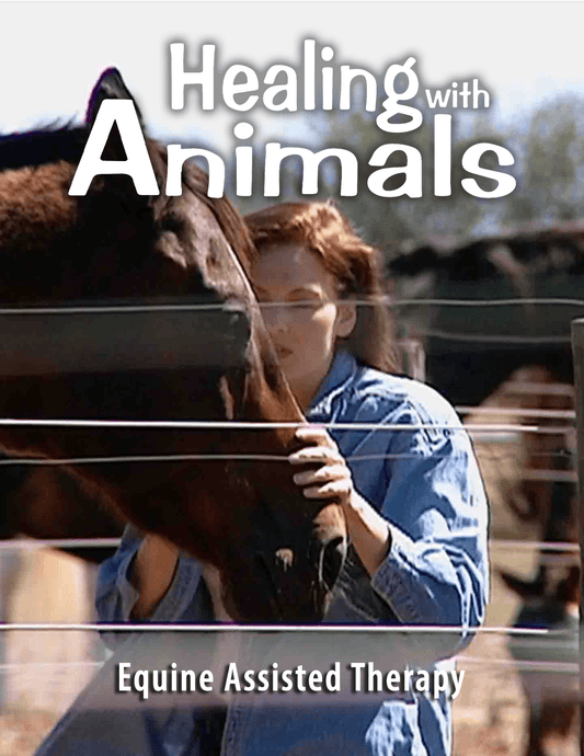Healing with Animals, 10 Equine Assisted Therapy