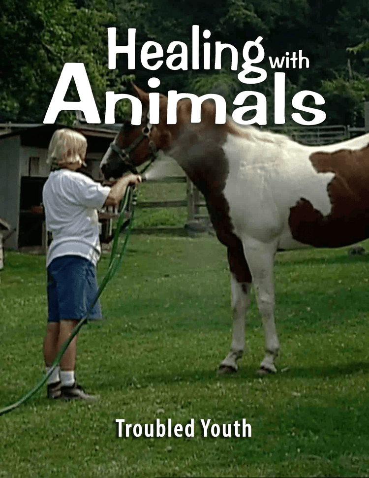 Healing with Animals, 12 Troubled Youth