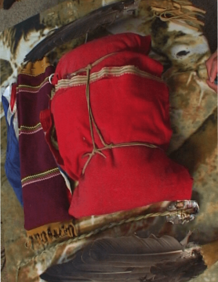 A Family Tree Narrative: Dion of the Kehewin