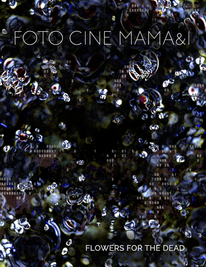FOTO CINE MAMA & I