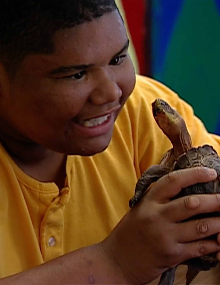 Healing with Animals, 12 Troubled Youth
