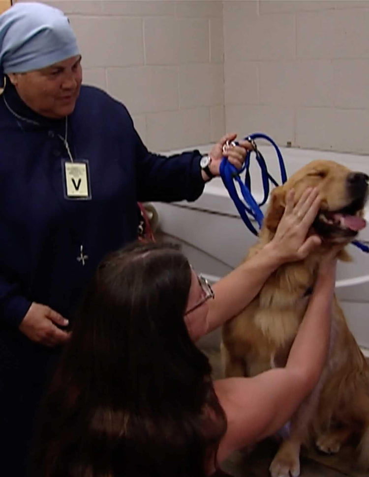 Healing with Animals, 02 Adult Offenders
