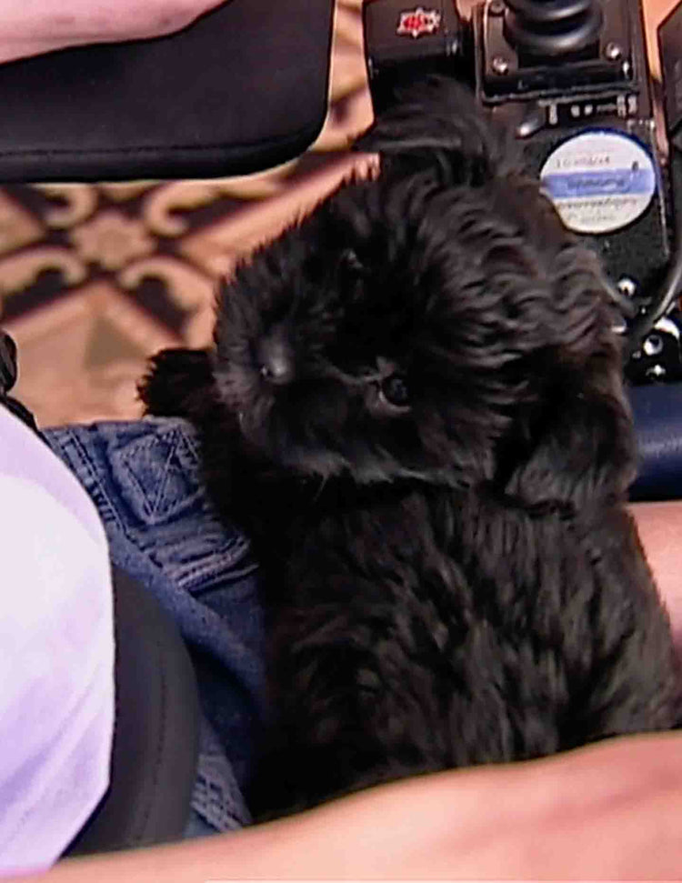 Healing with Animals, 03 Cerebral Palsy