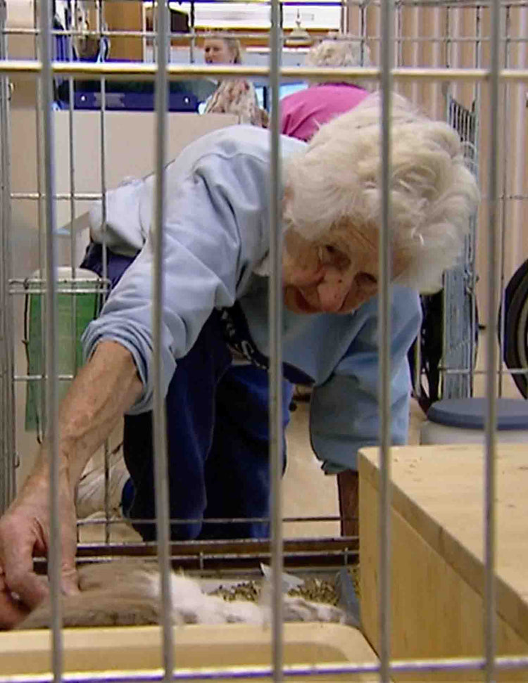 Healing with Animals: Geriatric Care
