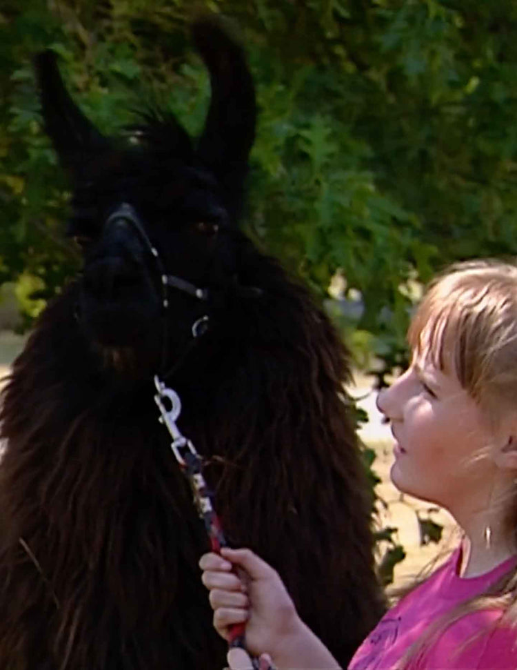 Healing with Animals, 07 Autism