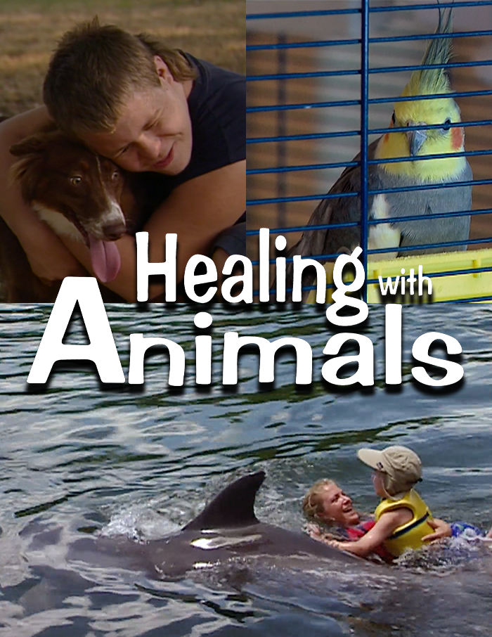 Healing with Animals: 13 Part Series