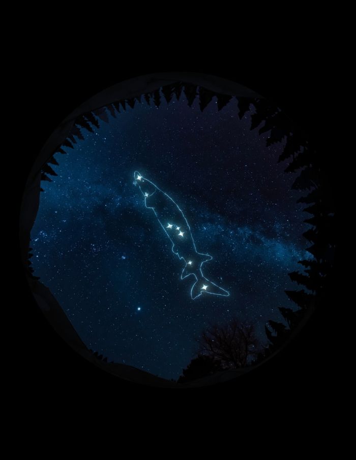 Wilfred Buck's Star Stories