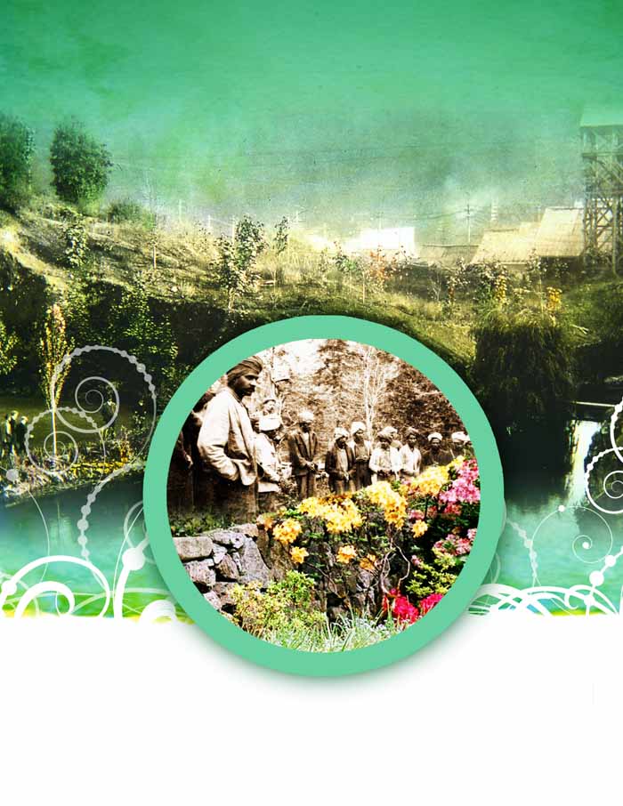 Beyond the Gardens' Wall: The Immigrant Workers of Tod Inlet