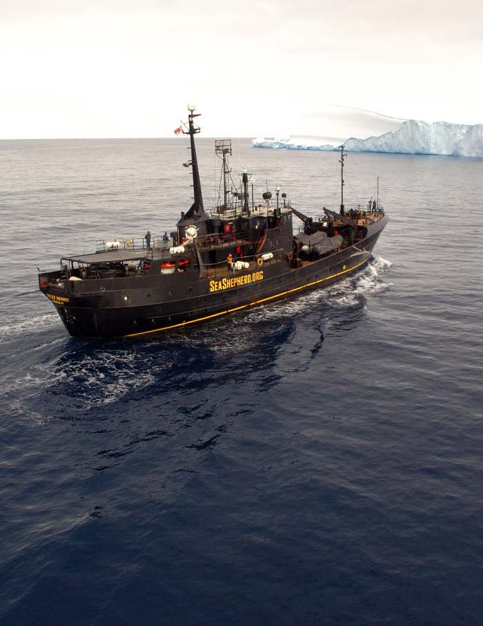 Eco-Pirate: The Story of Paul Watson