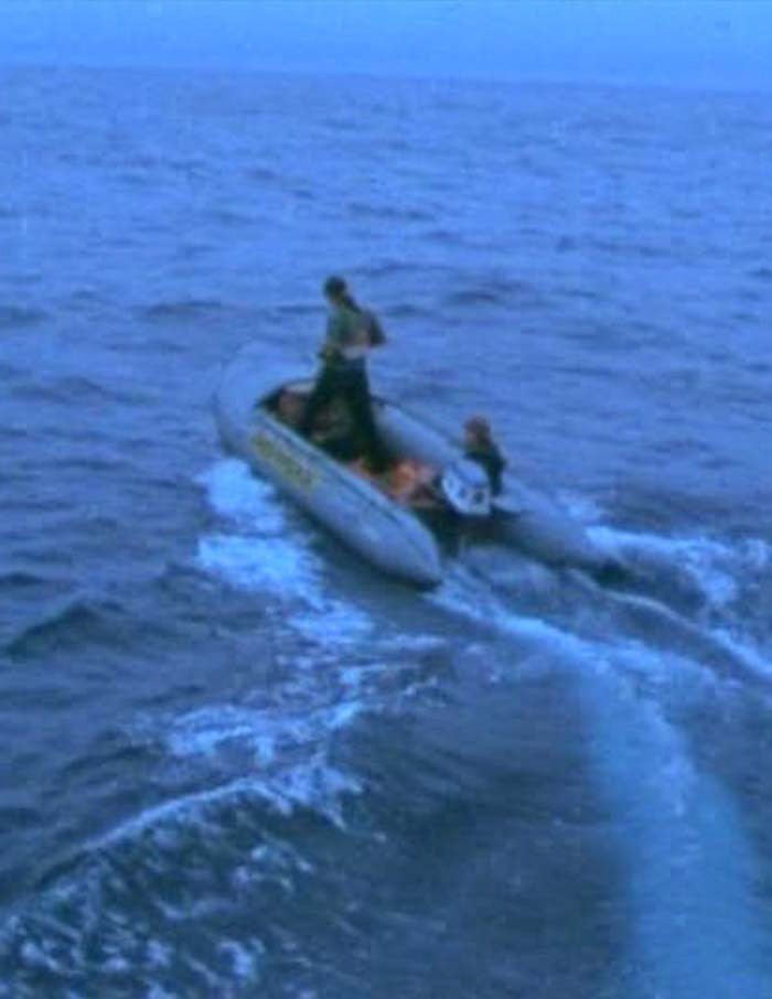 Greenpeace: Voyage to Save the Whales
