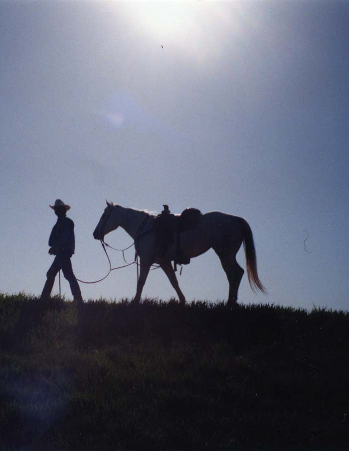 Neighbours, Wild Horses & Cowboys