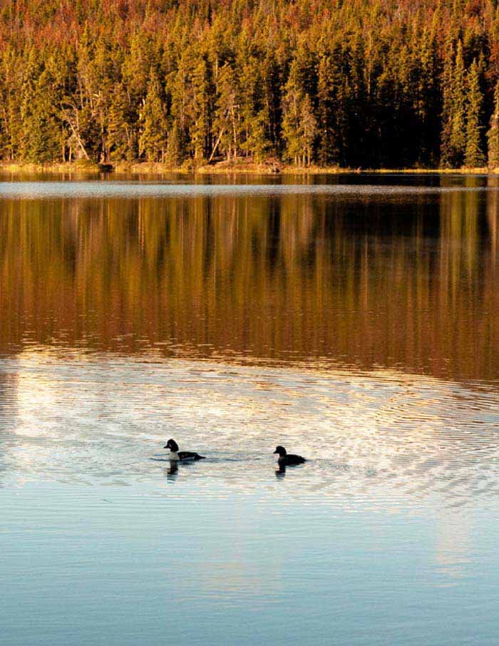 SAMAQAN: Water Stories (Series 1), Tetzan Biny: The Disappearance of Fish Lake, Parts 1 & 2
