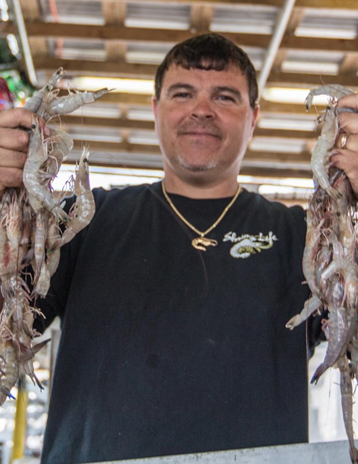SAMAQAN: Water Stories (Series 4), Gulf Shrimp: 4 Years and Counting