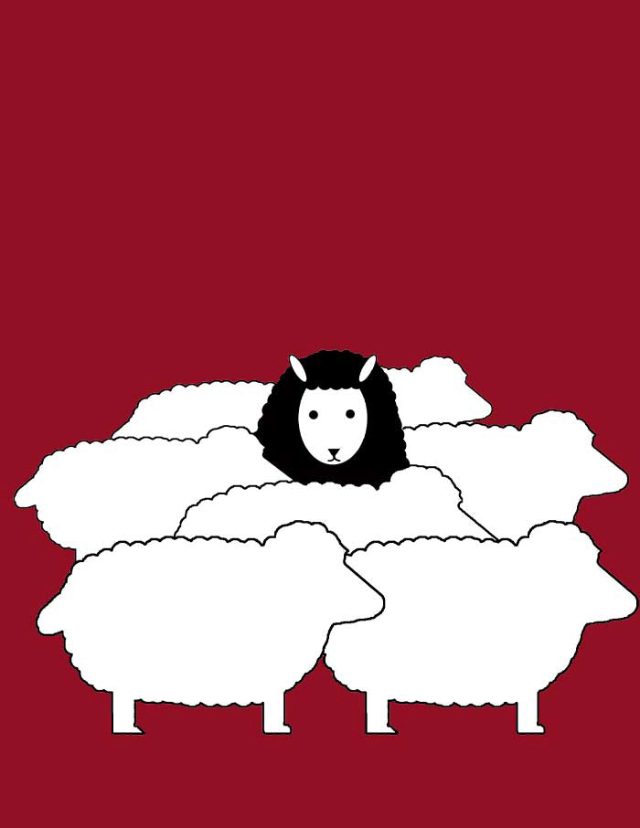 Sheep