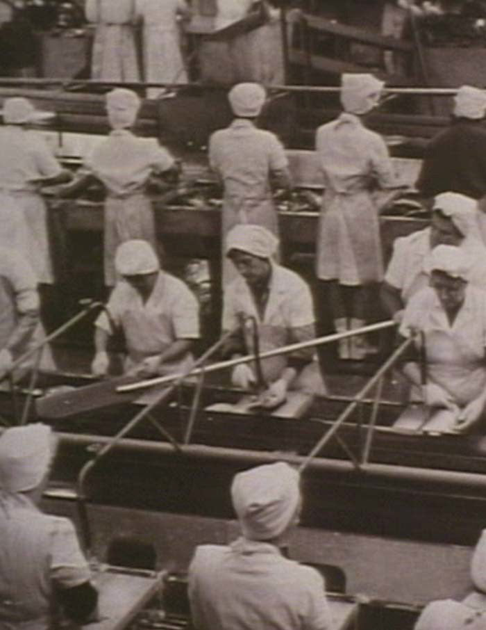 The Canneries
