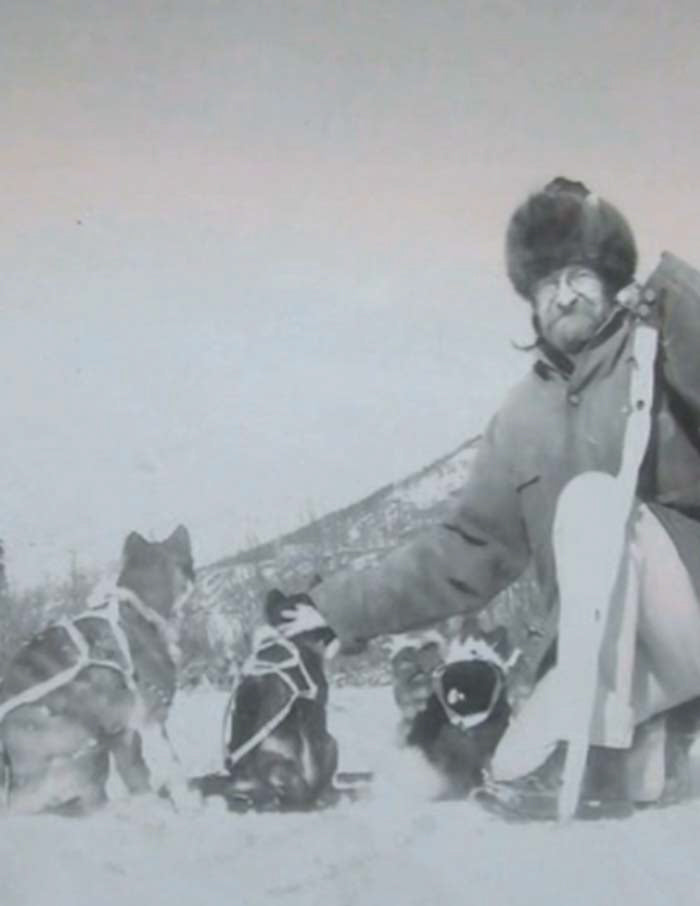 The Working Cat's Guide to the Klondike