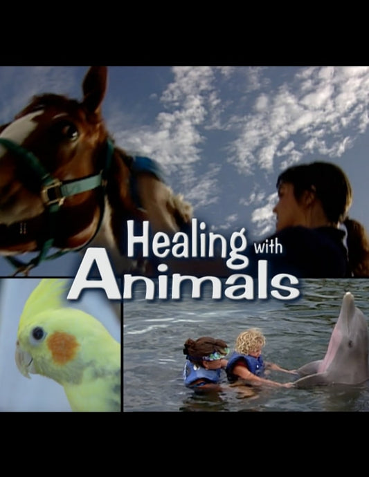 Healing with Animals, Series 13 Parts