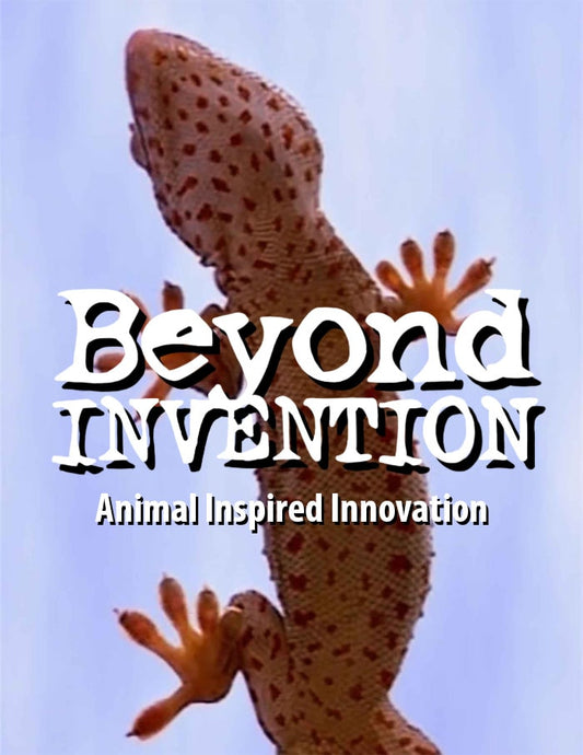 Beyond Invention, Animal Inspired Innovations