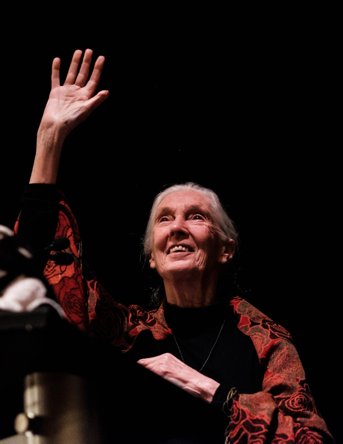 The Firekeepers: Jane Goodall