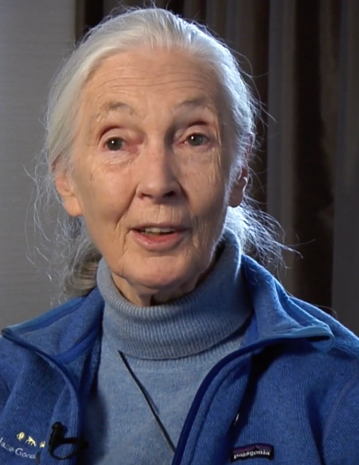 The Firekeepers: Jane Goodall