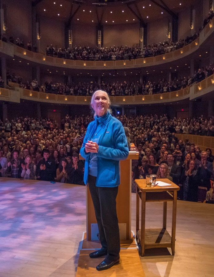 The Firekeepers: Jane Goodall