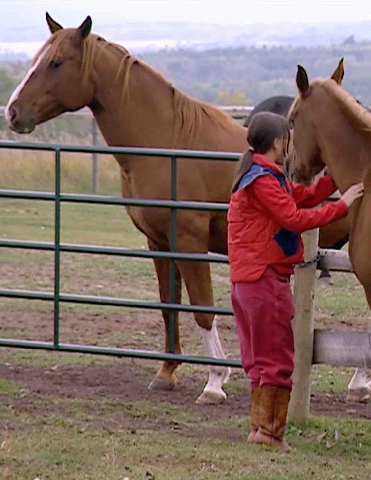 Healing with Animals, 10 Equine Assisted Therapy