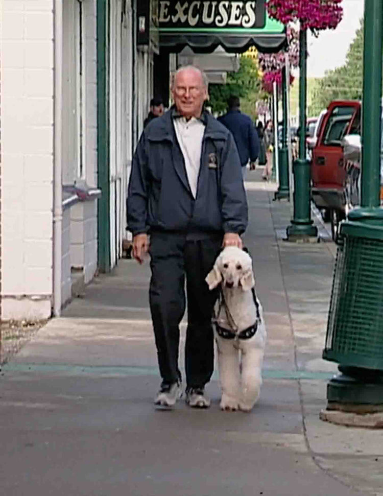 Healing with Animals, 11 Blindness