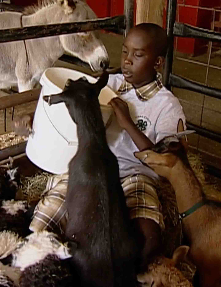 Healing with Animals, 12 Troubled Youth