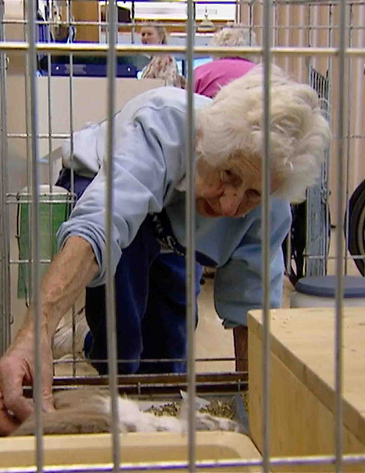 Healing with Animals, 05 Geriatric Care