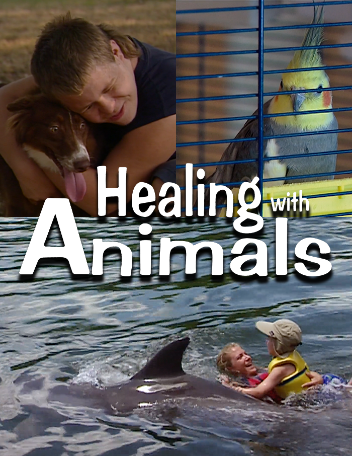 Healing with Animals, Series 13 Parts