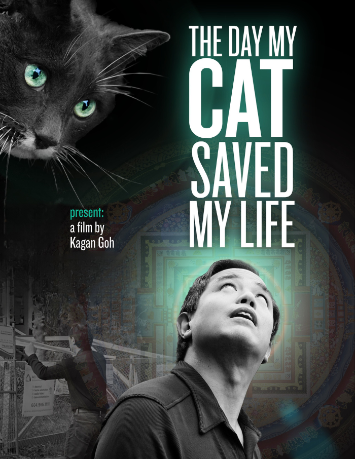 The Day My Cat Saved My Life