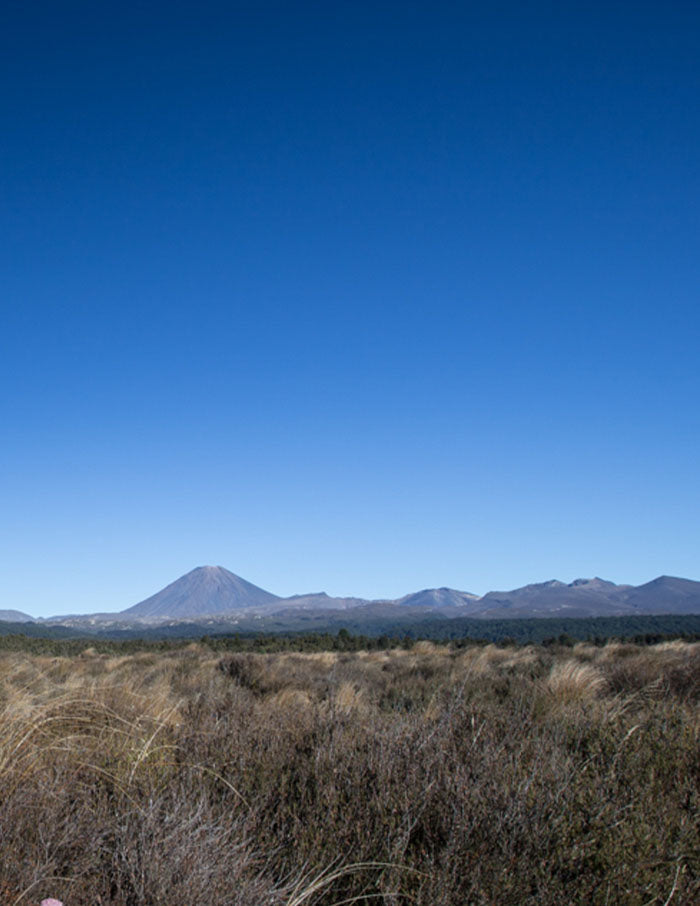 SAMAQAN: Water Stories (Series 4), Water Is Taonga: Aotearoa