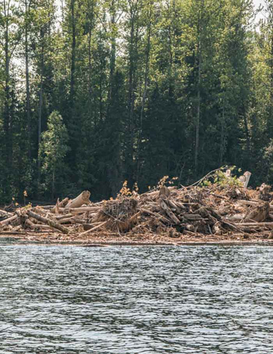 SAMAQAN: Water Stories (Series 4), Mount Polley: Breach or Catastrophe