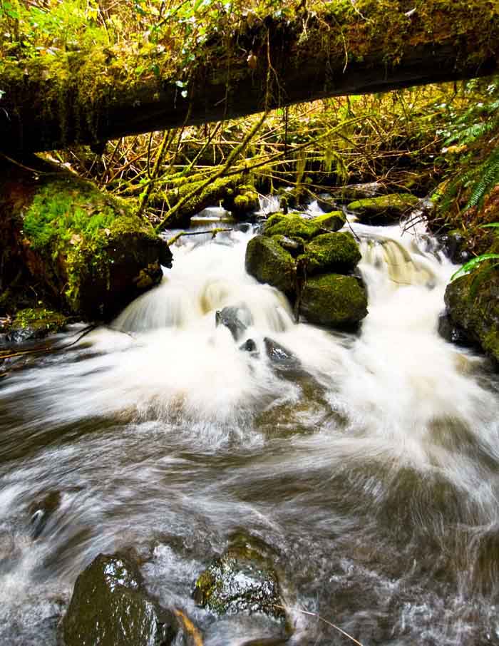 SAMAQAN: Water Stories (Series 1), Haida Gwaii