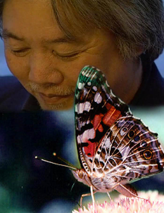 Wayson Choy: Unfolding the Butterfly (Secrets & Memories)